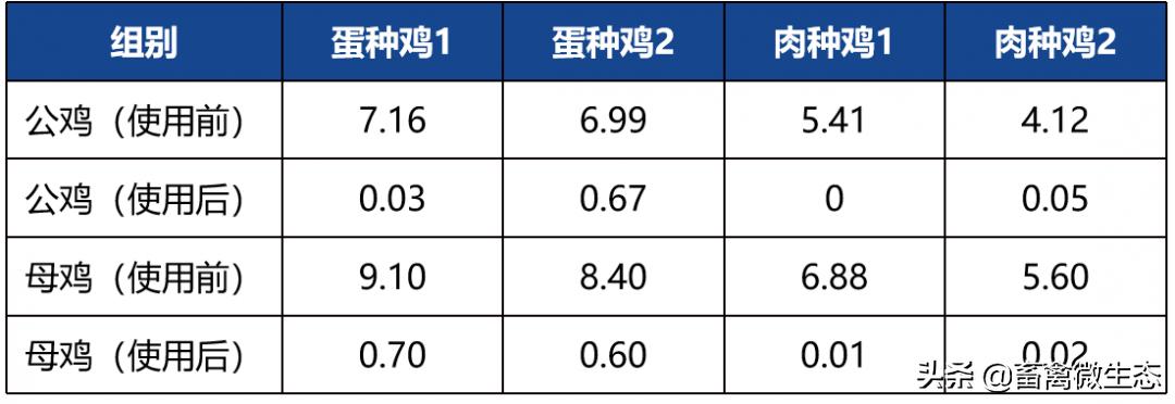 鸡感染严重的大肠杆菌怎么用药,鸡沙门氏大肠杆菌混合感染的症状