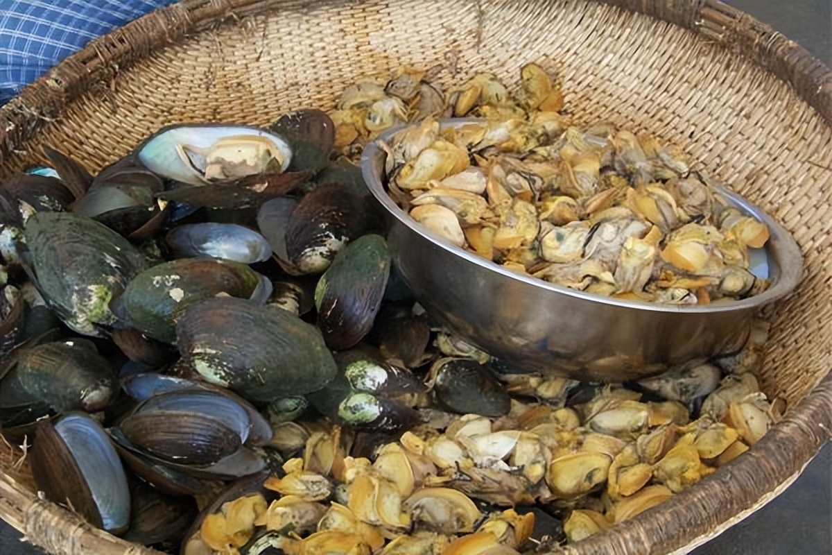 正在消失的河鲜图片,正在消失的河鲜排名