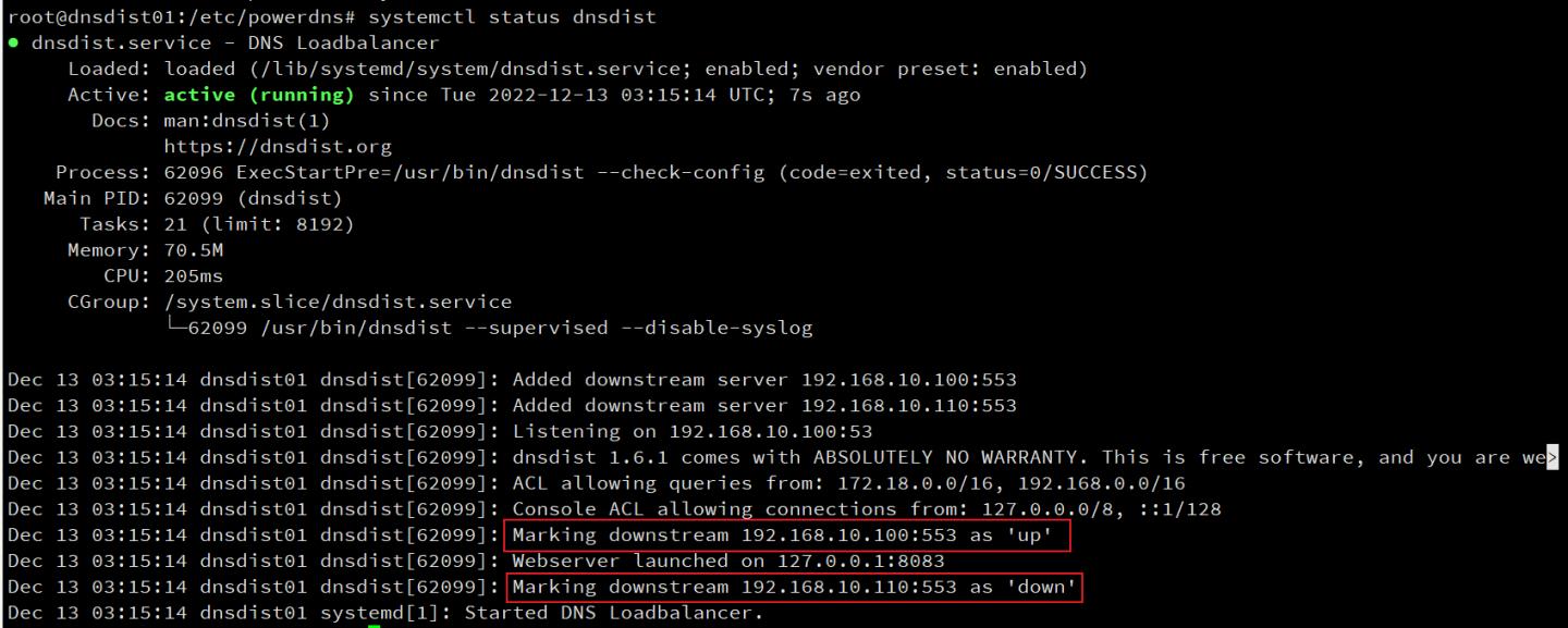 dns初学者教程免费,dns项目详细讲解