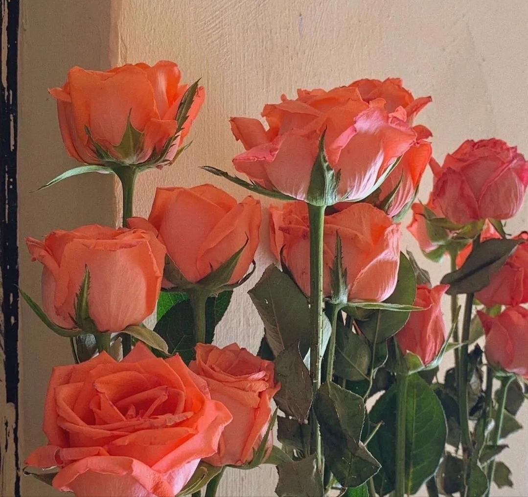 中年男人爱不爱我,中年男人爱不爱你的心理