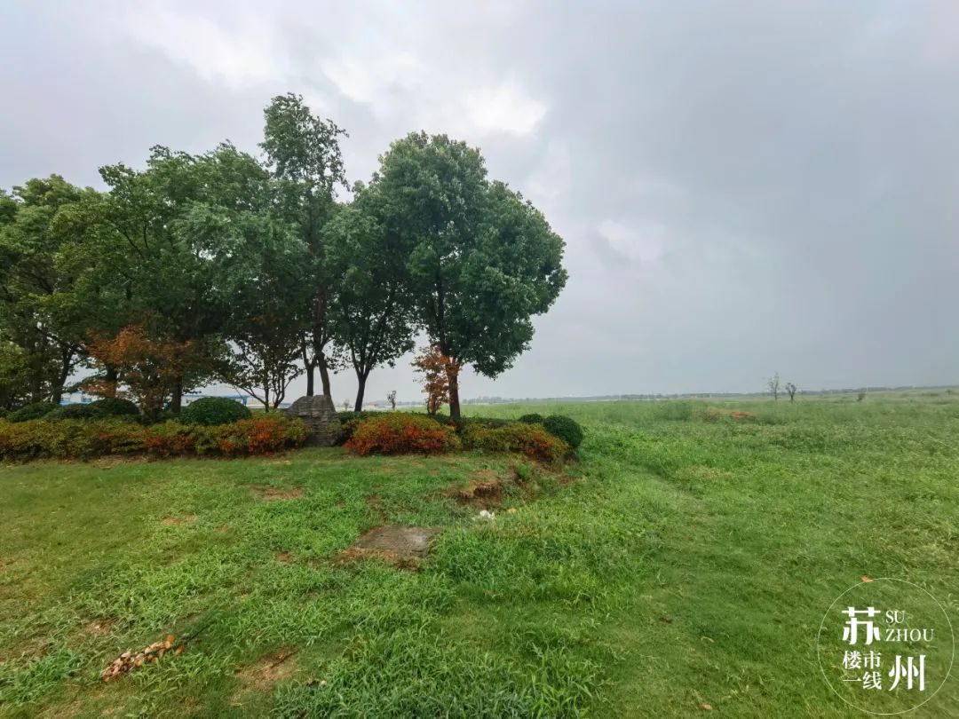 冻资3000组!“笠泽之星”能补回“太泽之星”的面子吗?