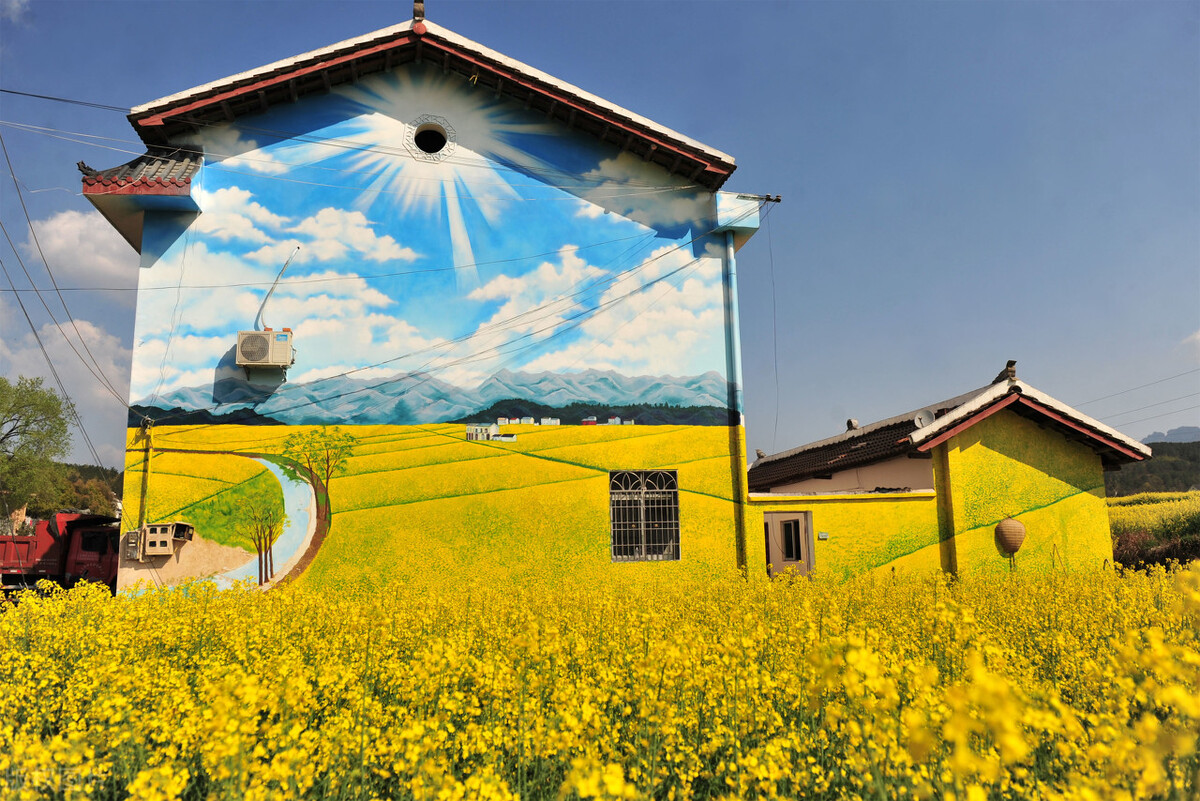 创意农业稻田,休闲农业创意农业