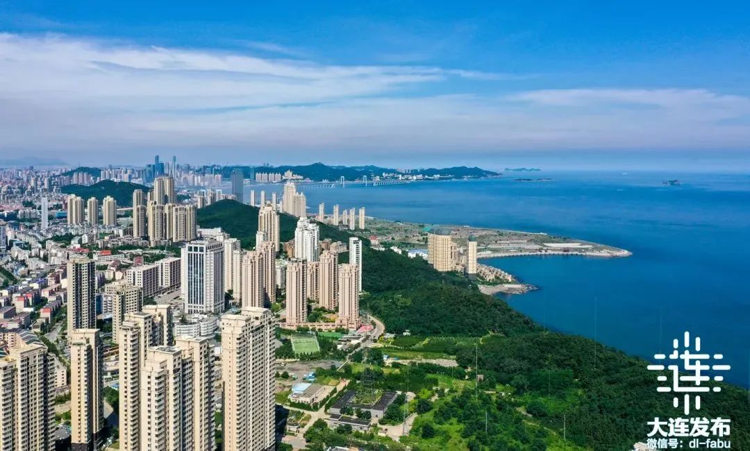 大连高质量发展两个先导区,大连新闻发布会今天
