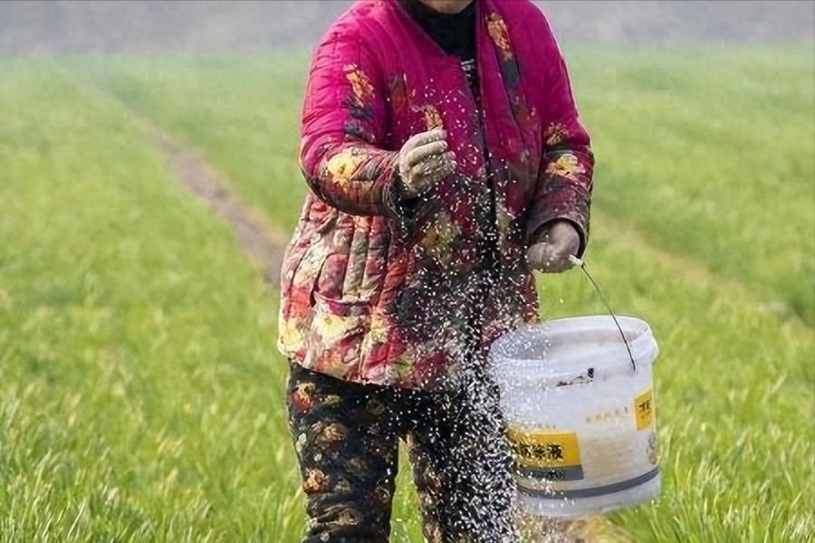 公公耐不住寂寞，儿媳妇知道后主动帮忙，最后被抓！