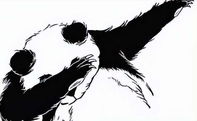 狗市买狗=肉包子打狗？普遍活不过七天，养宠小白重灾区