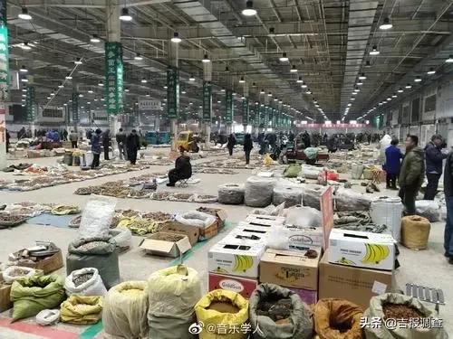 长白山万良镇人参市场黑参价格,抚松县万良镇人参批发多少钱一斤