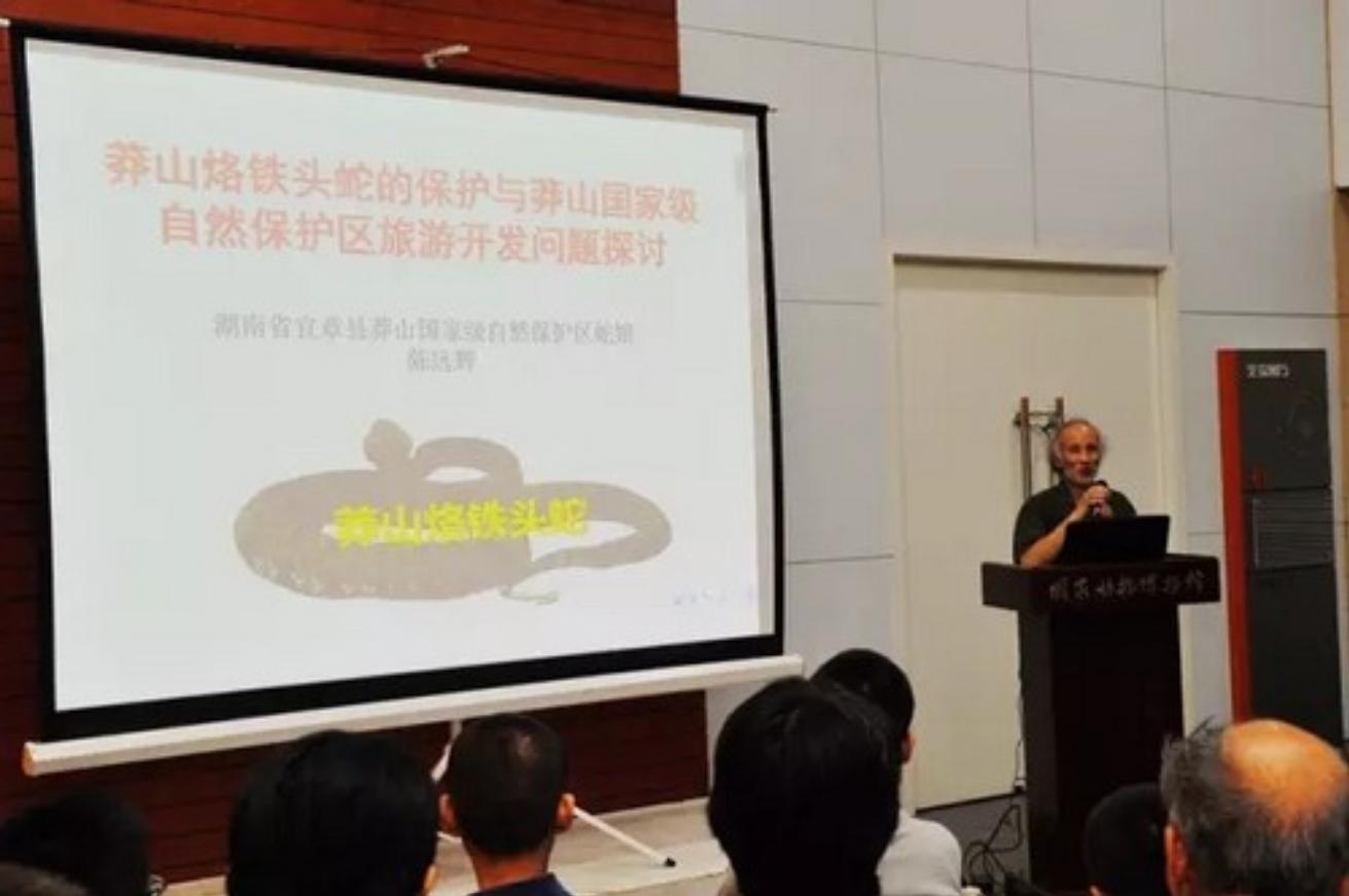 中国几百条的蛇,我国现存莽山烙铁头蛇数量