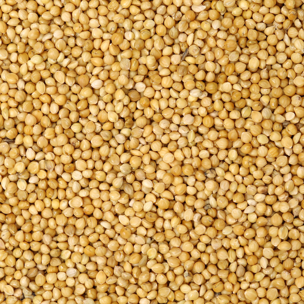 白痰多吐不尽吃什么药治疗,白痰多吃不下