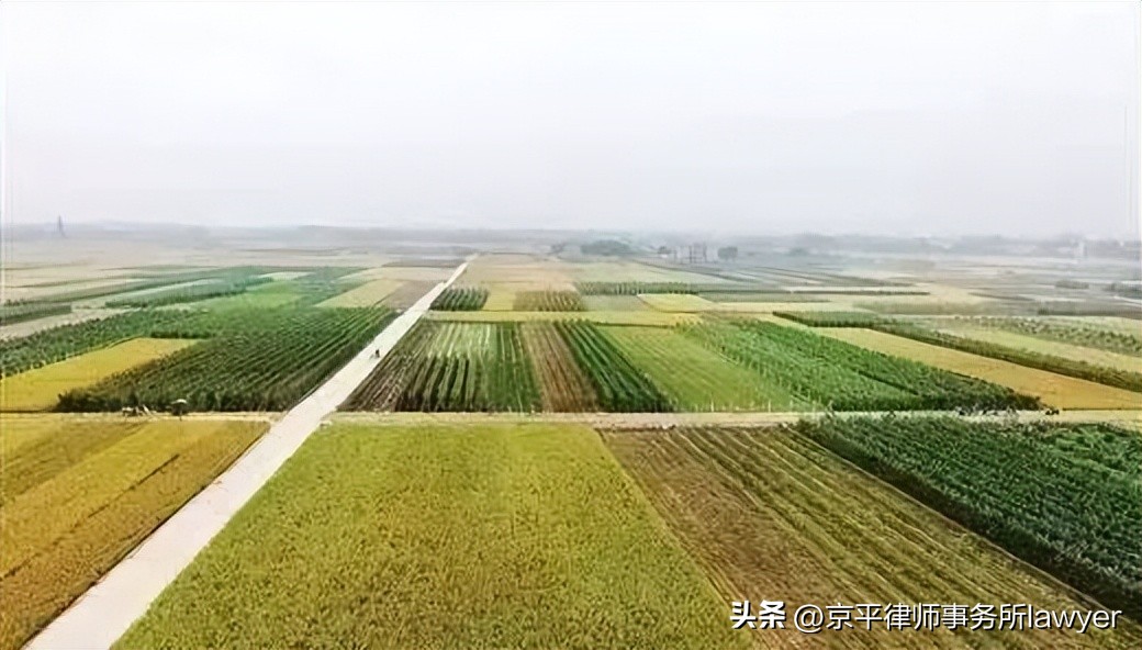 农村修高速拆迁后农民房子咋办,农村公路加宽房屋怎么办