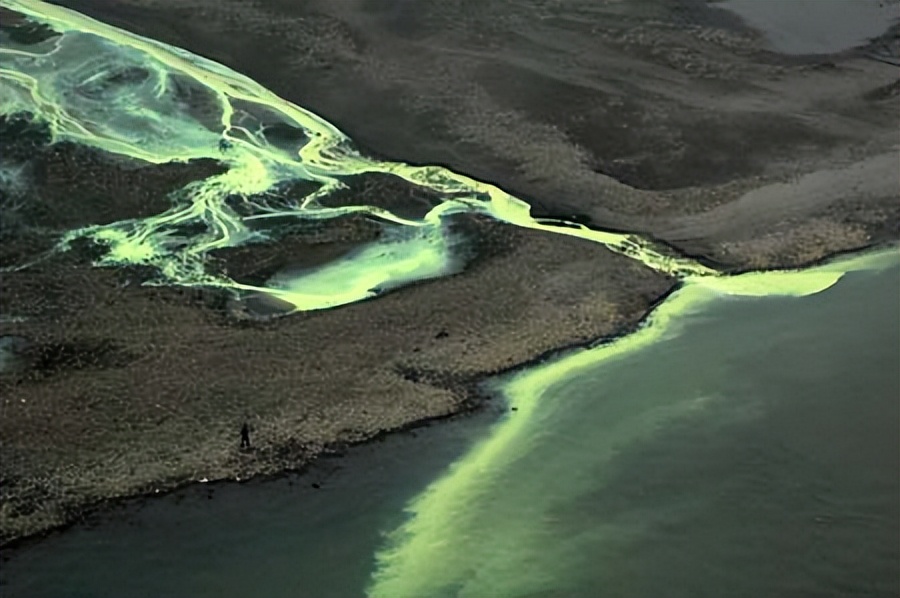 为何要禁止水银体温计的生产？原来它的危害这么大