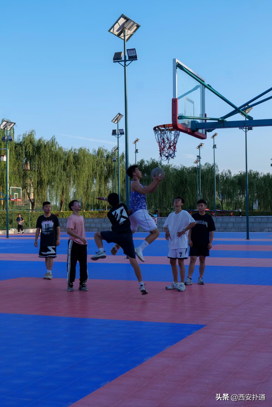 西安最大花海公园,西安周边的自然景观公园