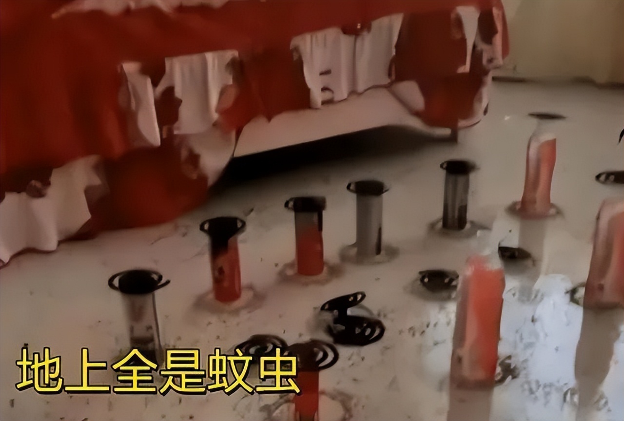 广东人的灭蚊术,阎王见了也发怵