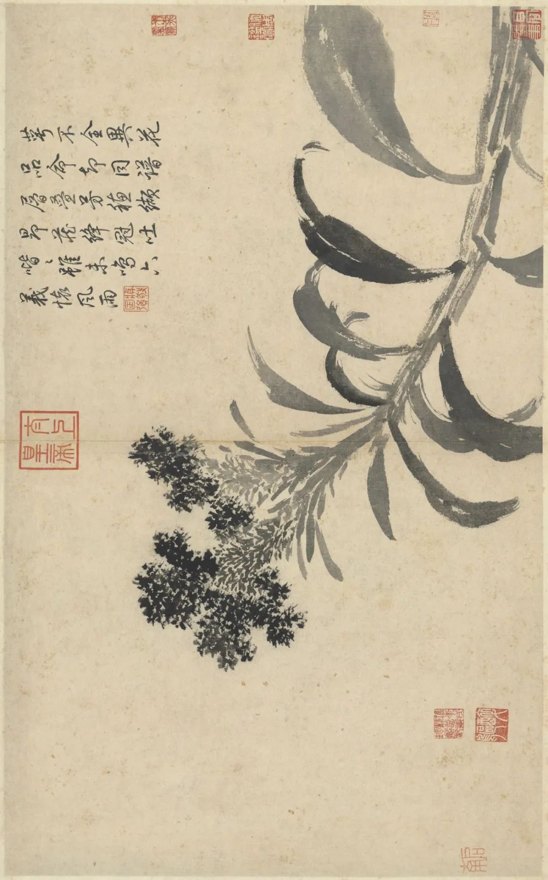 慕容看世界的视频,慕容看世界所有视频