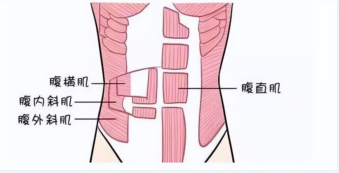 腹壁成形可以和马甲线一起做吗,腹壁松弛可以练出马甲线吗