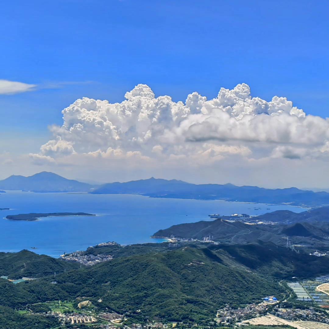 人生感悟情感扎心语录老人,人生感悟情感扎心语录直播