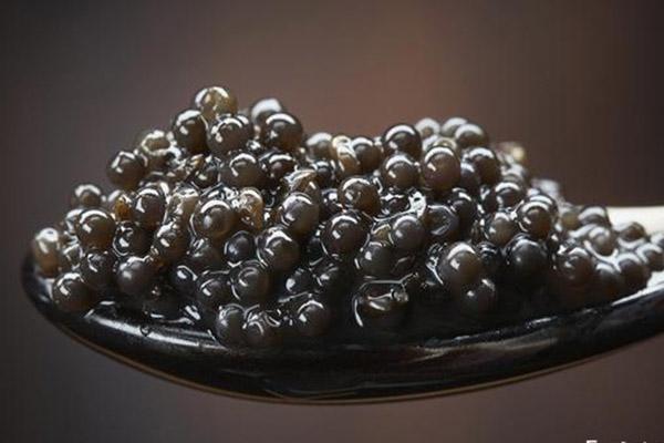 一千斤的鱼子酱,一千元一罐的鱼子酱