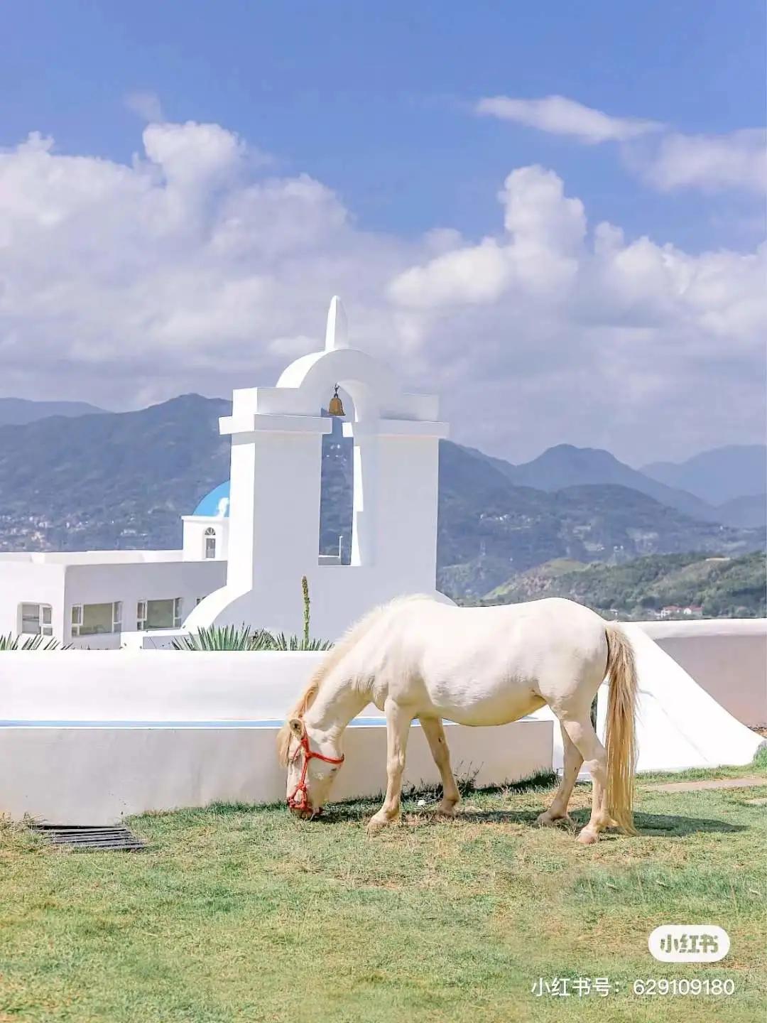 青田用欧元买菜,这座城市遍地都是豪车