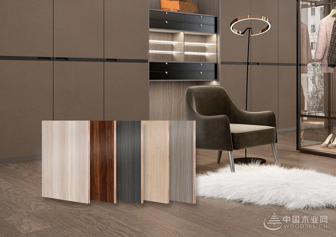 专访沃森,沃森专访