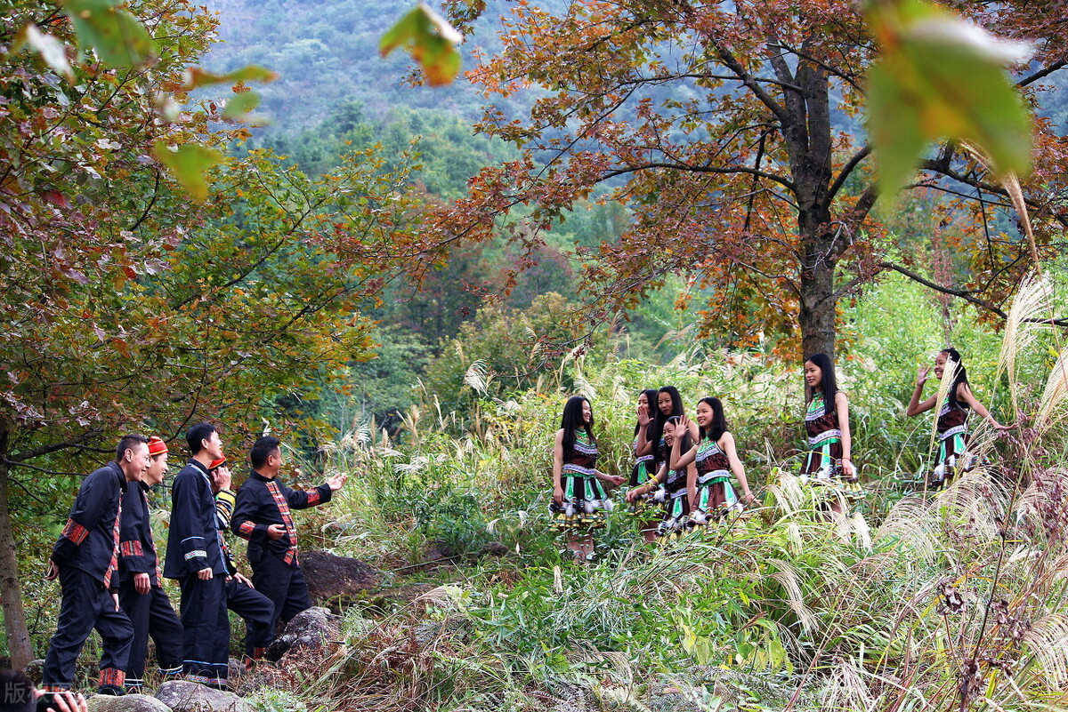 边城爱情悲剧的原因,边城为什么是理想化的边城