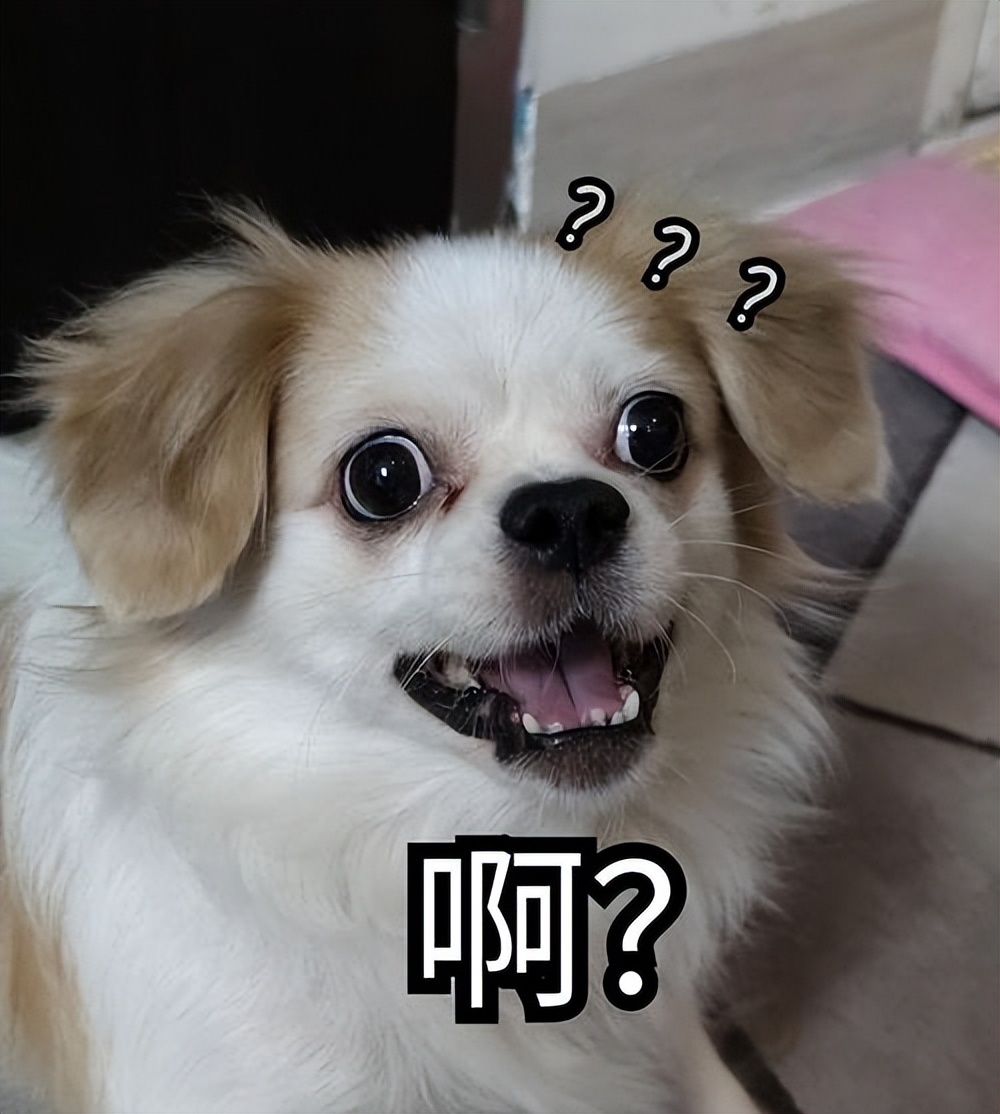 买到星期狗怎么救活,买宠物狗买到星期狗怎么办