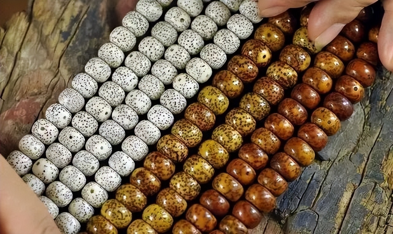 星月品类,星月品类介绍