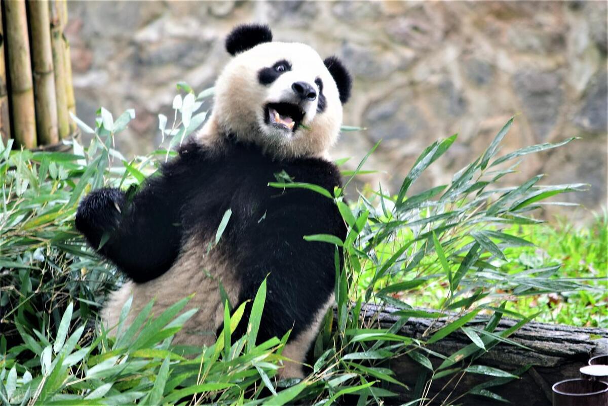 对华出口暴跌三成！韩网友：好事,远离山寨国家，不再给中国供血