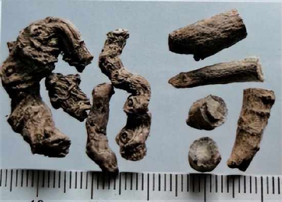 三七和金不换是一样的吗,金不换和三七是同一种中药吗