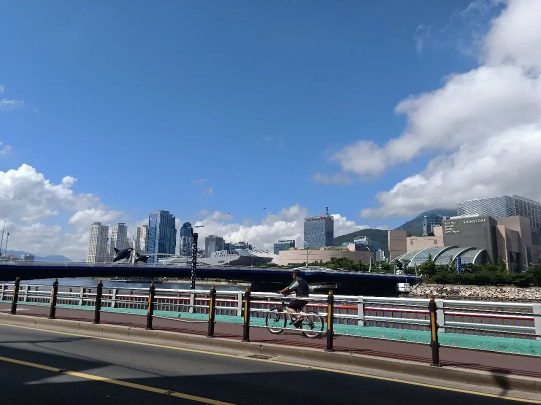 90后江江在韩国：海浪跫音，路在自己脚下