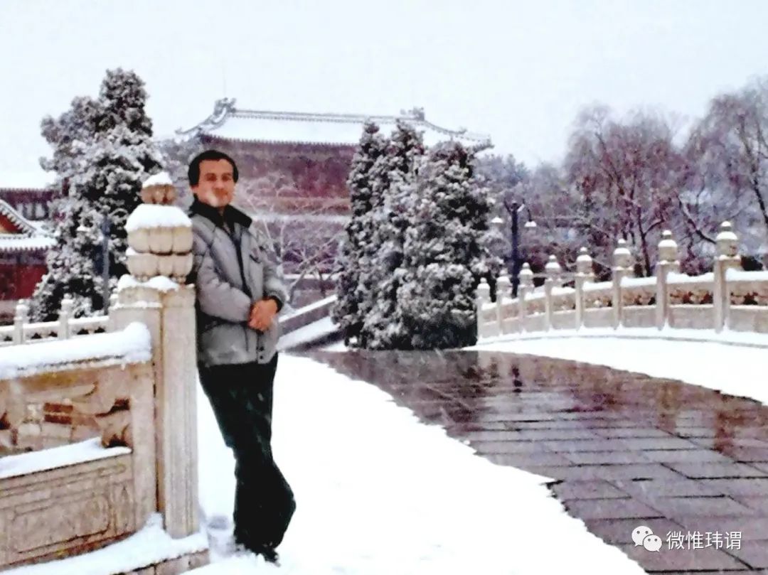 中南海印象原创:贺玮