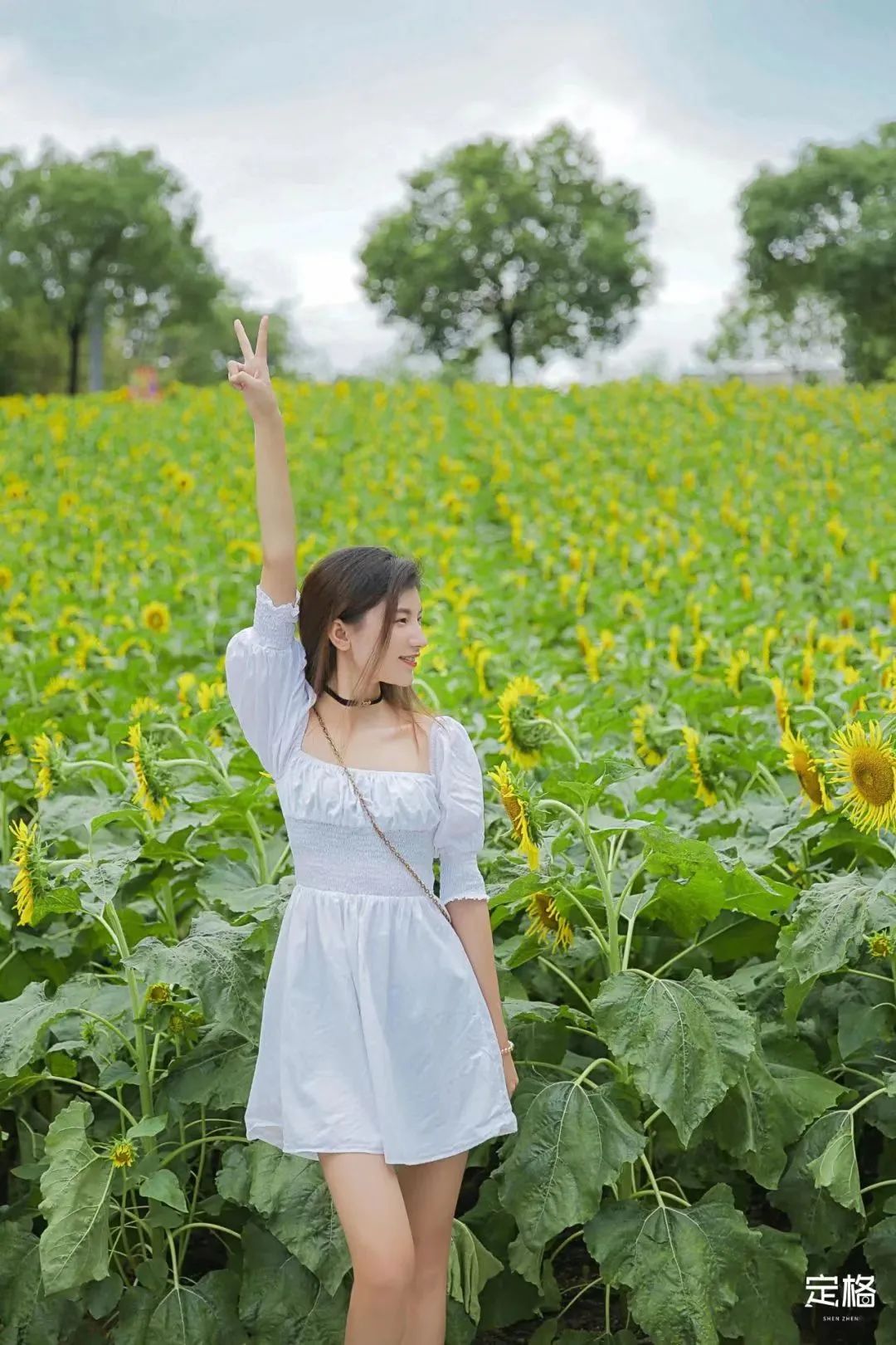 深圳3月14个赏花胜地全部免费,深圳清明节踏青赏花好去处