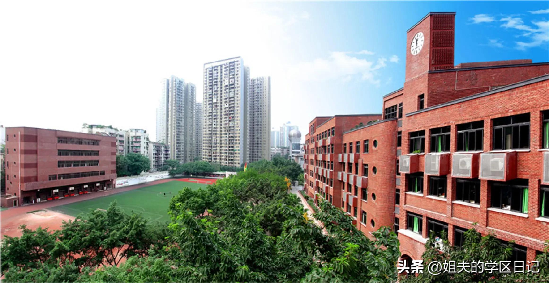 重庆九龙坡区小学排名,重庆市九龙坡区小学学区划分