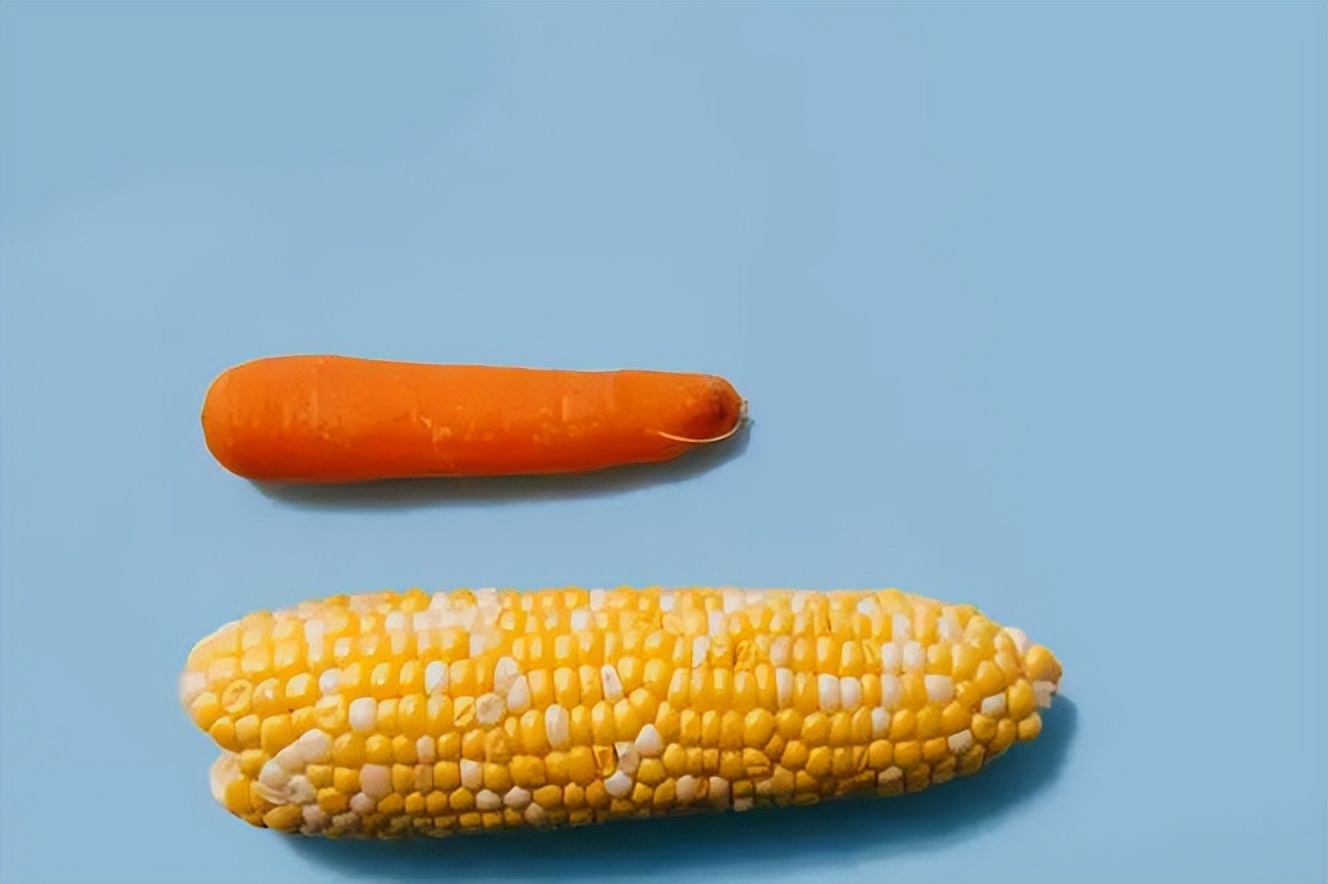 羊肉牛肉是冬天最该吃的肉,冬季羊肉和牛肉哪个好吃