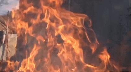 养猫有细菌浪费钱吗,养猫有用吗