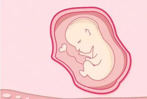 孕初期胎停的身体症状,孕初期会有分泌物症状吗