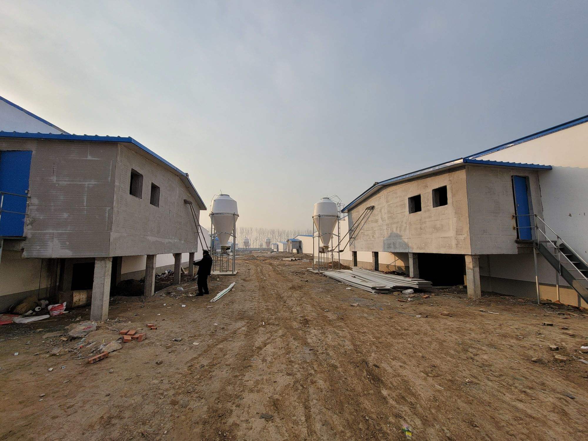 猪价及全国养殖走向,猪价回落养猪