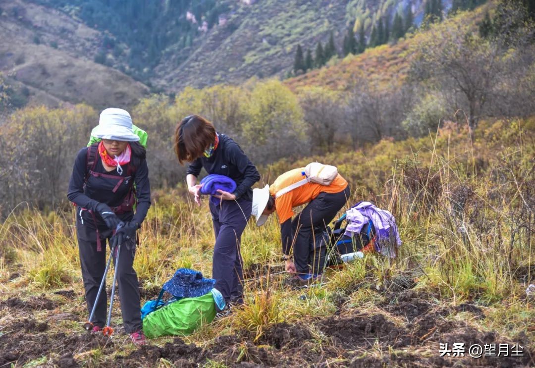 扎尕那甘南秘境人间伊甸园,扎尕那上帝遗落人间的伊甸园