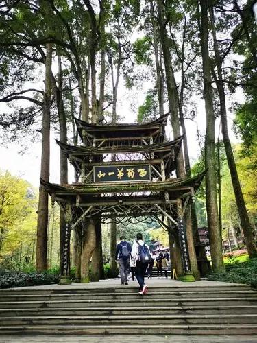 成都周边青城山游玩攻略,成都旅游必去的景点青城山