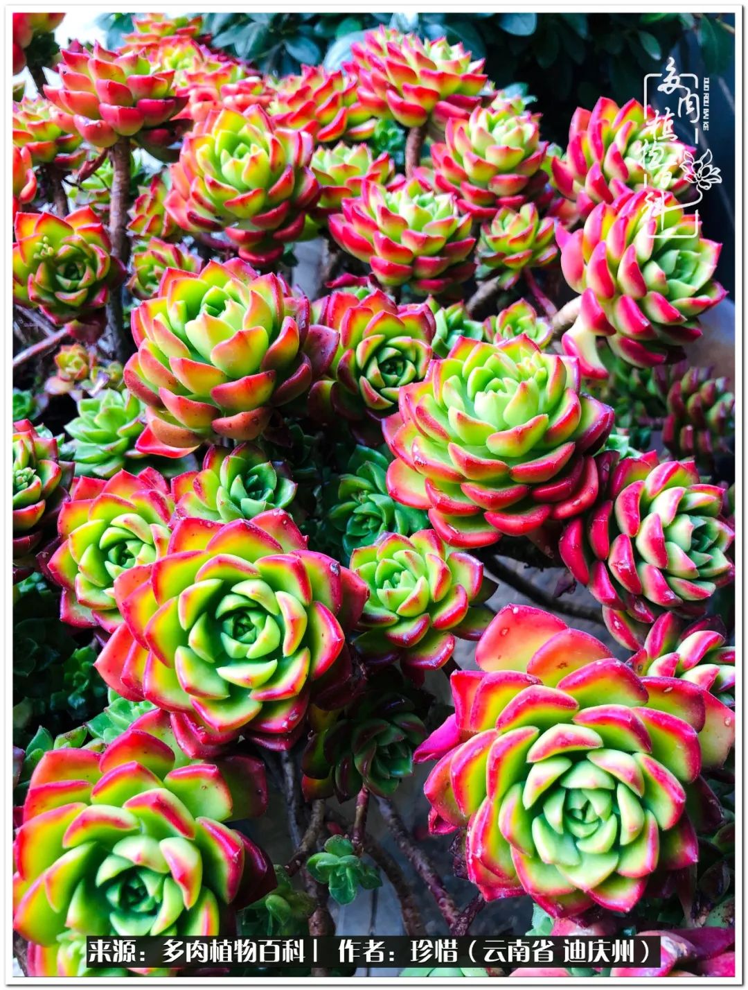 给生命一份淡然还岁月一份从容,给生命留一份洒脱的话