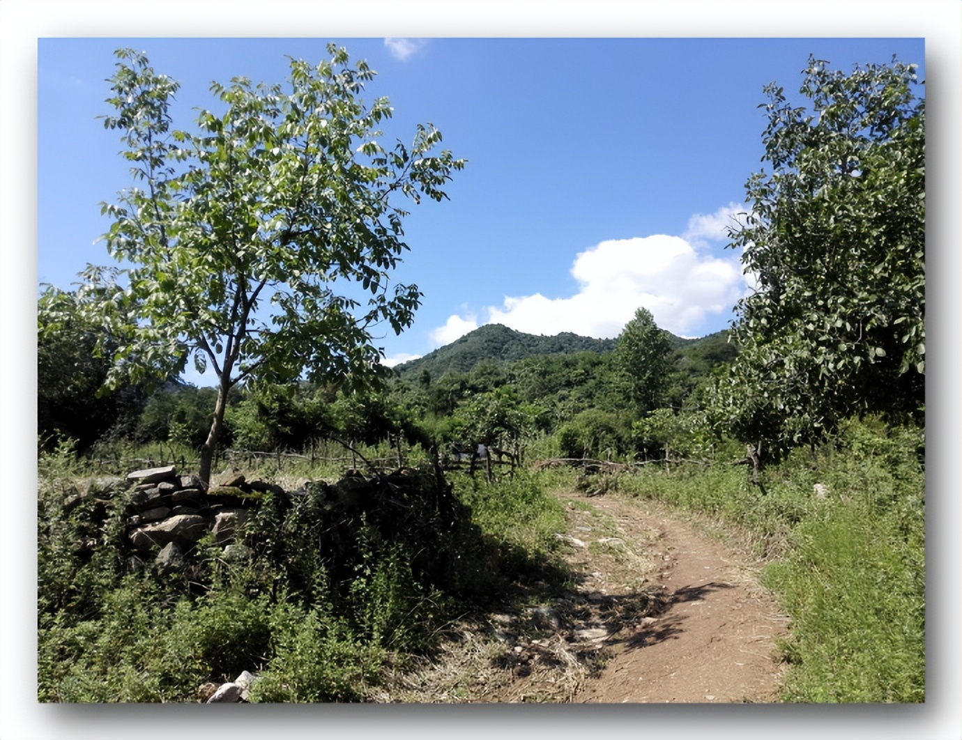 枫丹白露中国,探访中国最北漠河