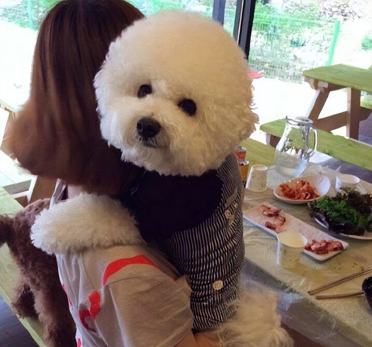 千万不要被比熊这几种行为骗了,不管你和谁相处记住哪5句话