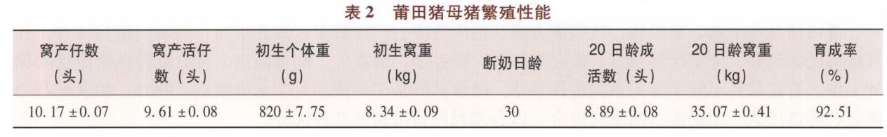 莆田猪脚,莆田猪瘟新消息
