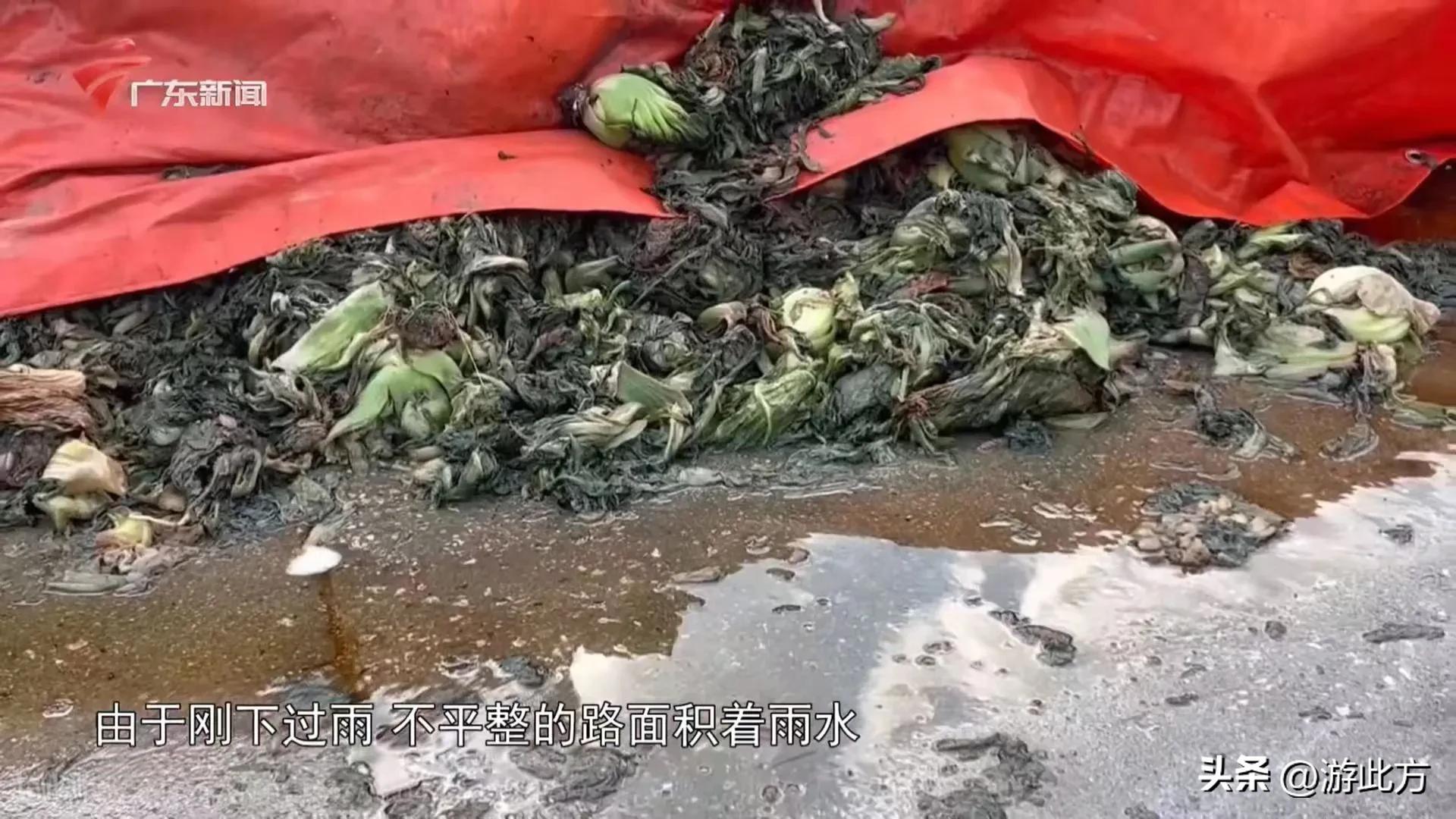 315黑心橄榄菜曝光视频,央视315曝光不合格橄榄菜