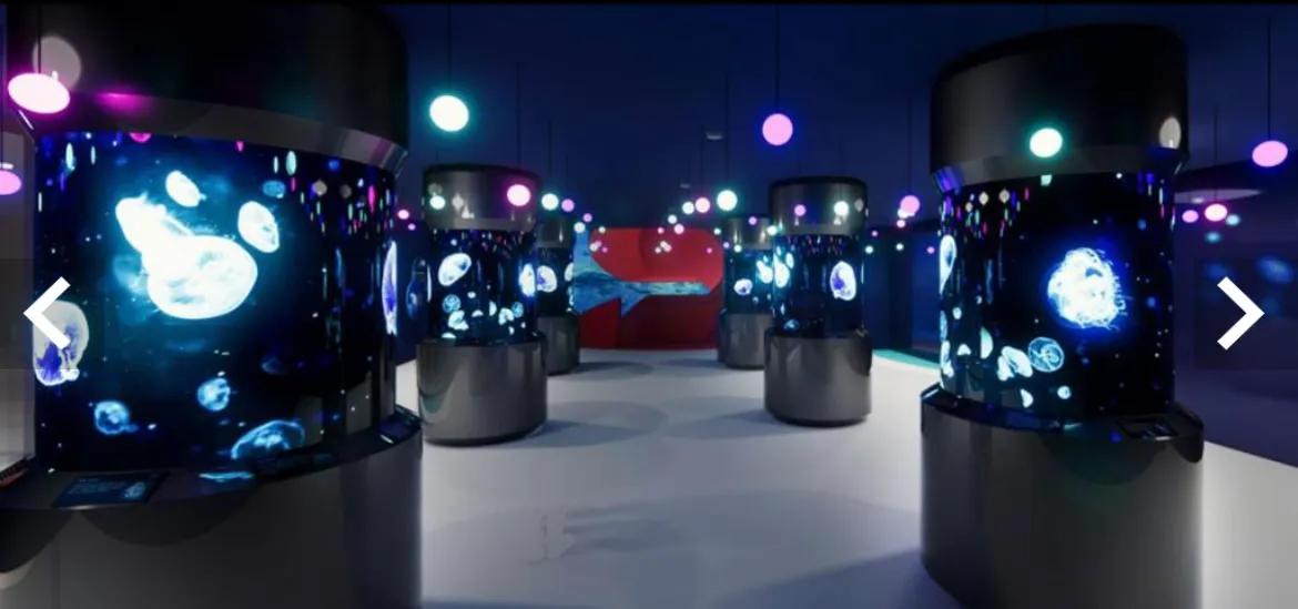 台湾旅游攻略视频,台湾彰化旅游攻略