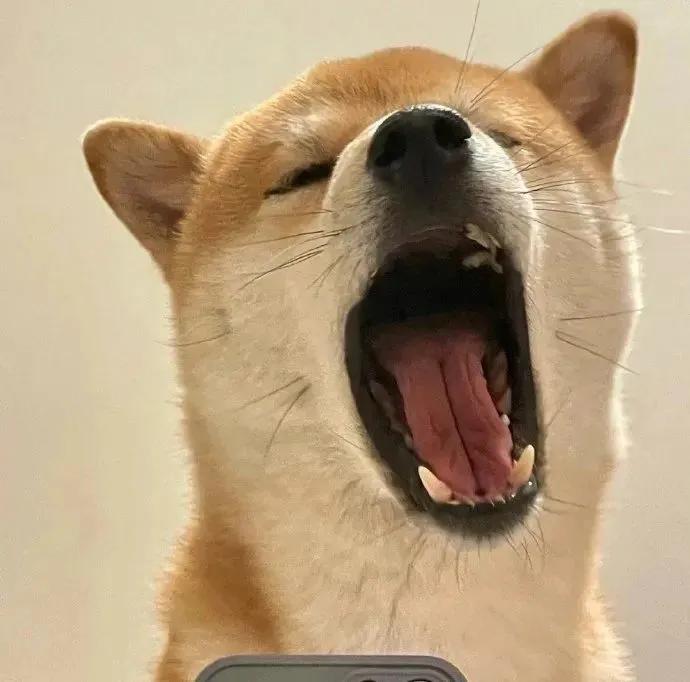 近期敲可爱的微信头像大合集,微信头像真人孩子可爱超萌可保存