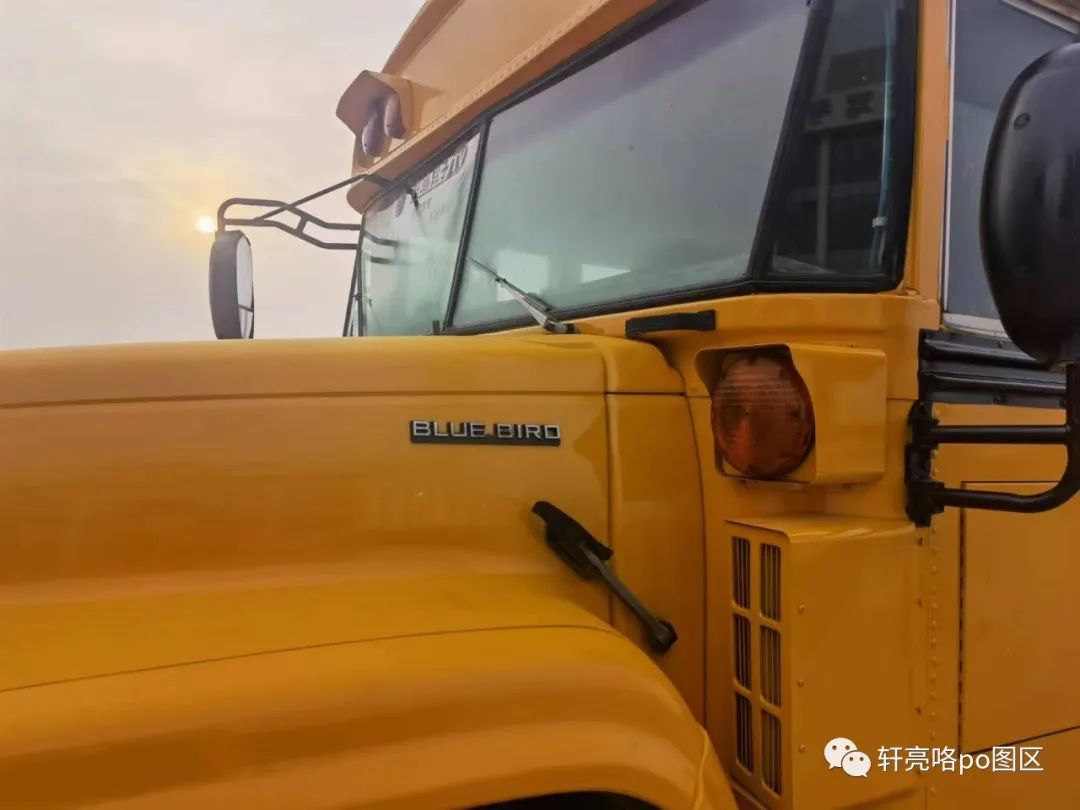 美国校巴真的好么