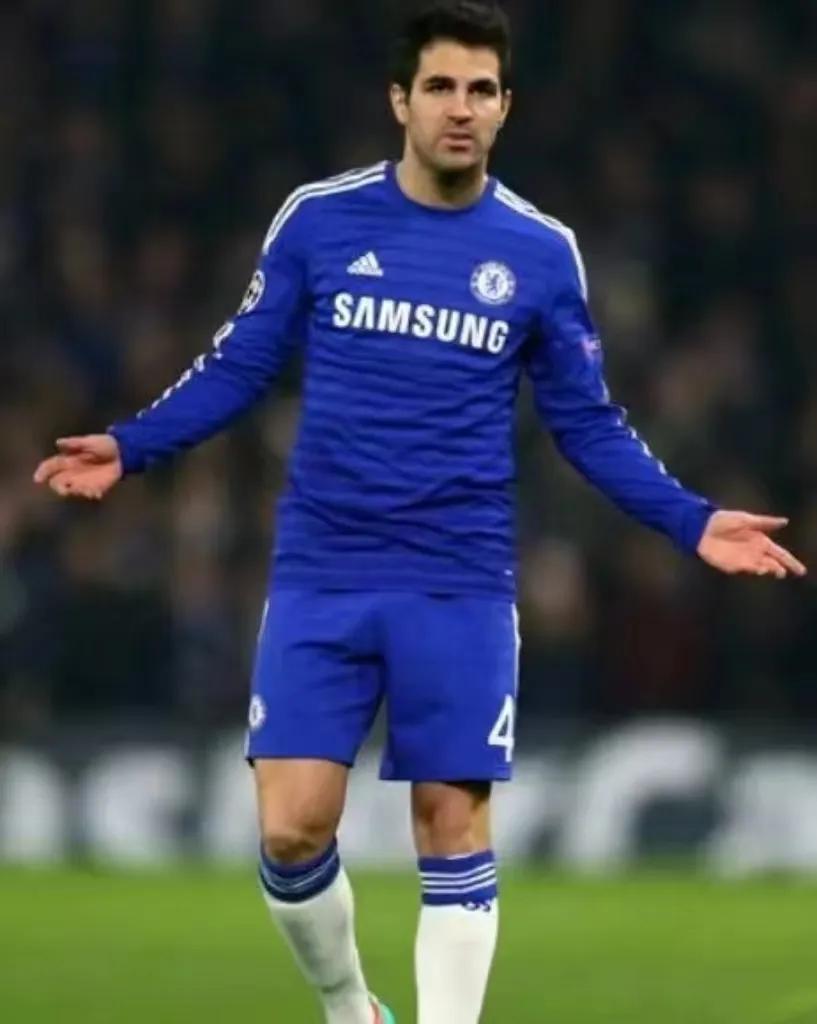 塞斯克法布雷加斯,弗朗塞斯克法布雷加斯