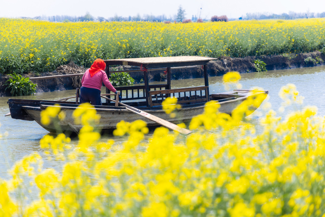 春日下江南杭州,泰州一日游攻略美食