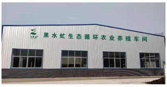 盛大金禧携手芷民丰助推乡村振兴高质量发展