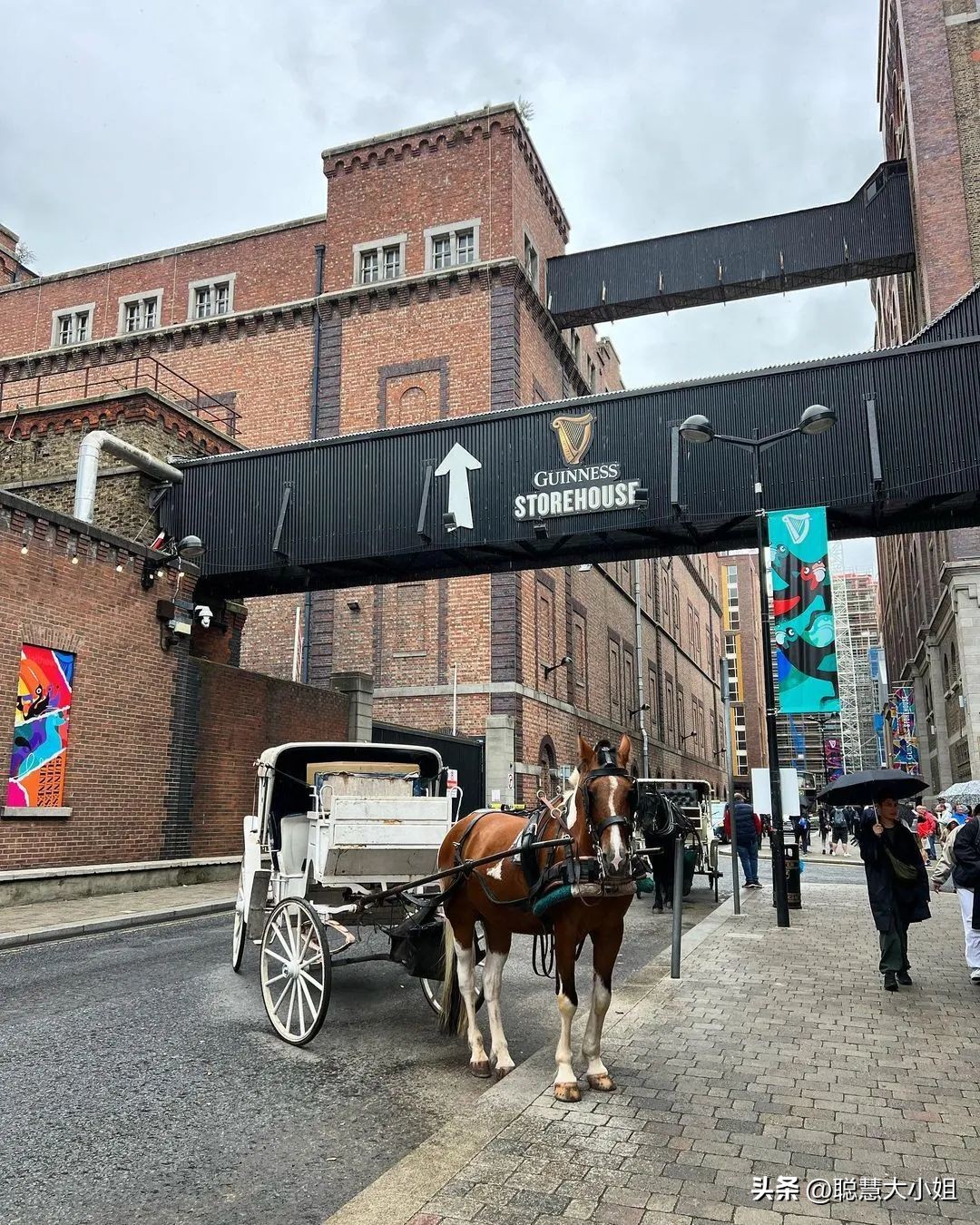 最绿的国家,最绿国家