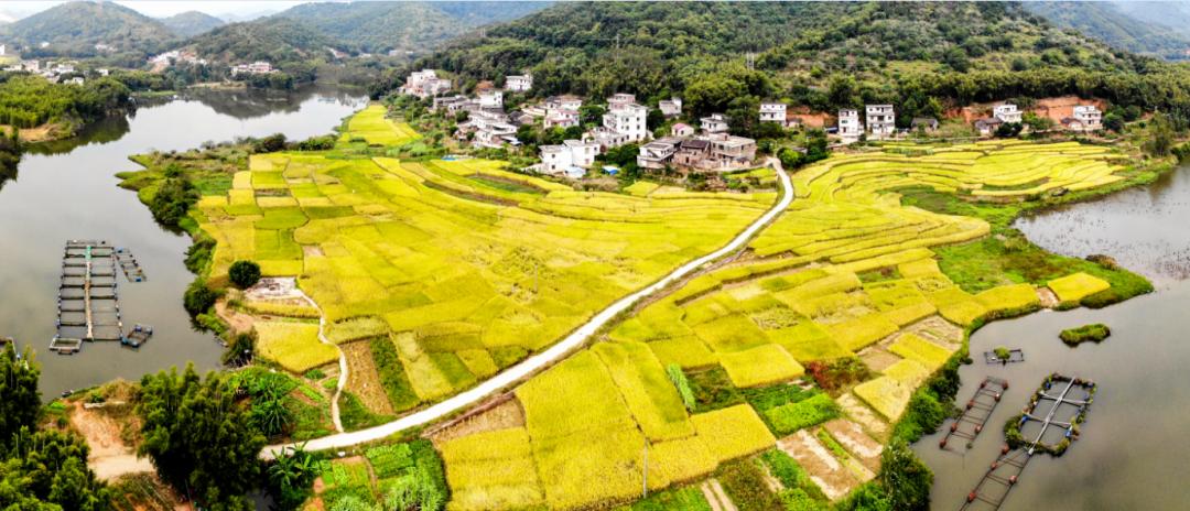 肇庆高要太阳能光伏发电站,肇庆新能源光伏发电能发多少度电